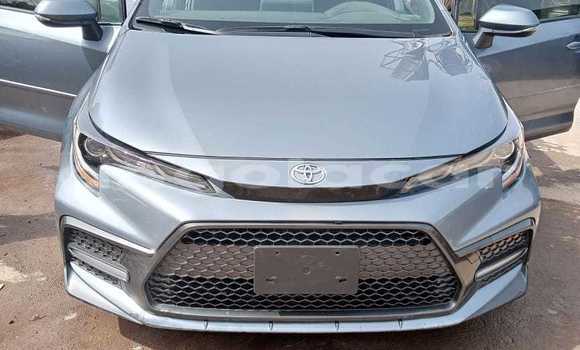 Comprar Usado Toyota Corolla Prata Carro em Luanda em Luanda Province Comprar Usado Toyota Corolla Prata Carro em Luanda em Luanda Province