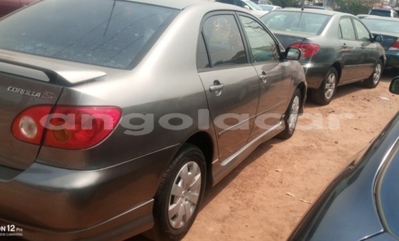 Buy Used Toyota Corolla Other Car in Luanda in Luanda Province Buy Used Toyota Corolla Other Car in Luanda in Luanda Province