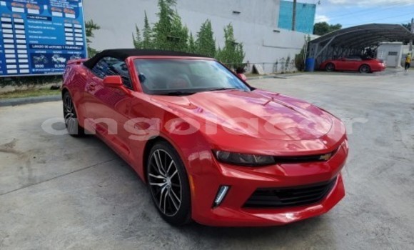 Buy Used Chevrolet Camaro Red Car in Luanda in Luanda Province Buy Used Chevrolet Camaro Red Car in Luanda in Luanda Province