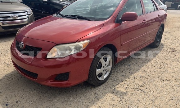 Acheter Occasion Voiture Toyota Corolla Rouge à Luanda, Province de Luanda Acheter Occasion Voiture Toyota Corolla Rouge à Luanda, Province de Luanda