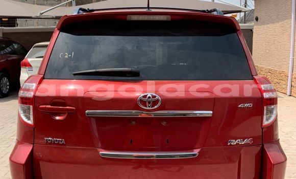 Buy Used Toyota RAV4 Red Car in Luanda in Luanda Province Buy Used Toyota RAV4 Red Car in Luanda in Luanda Province