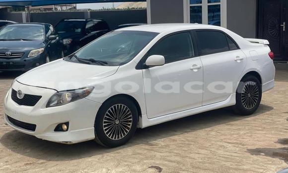 Buy Used Toyota Corolla II White Car in Luanda in Luanda Province Buy Used Toyota Corolla II White Car in Luanda in Luanda Province