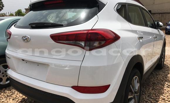 Buy Used Hyundai Tucson White Car in Luanda in Luanda Province Buy Used Hyundai Tucson White Car in Luanda in Luanda Province