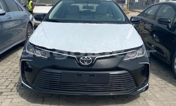 Comprar Usado Toyota Corolla Outro Carro em Luena em Moxico
