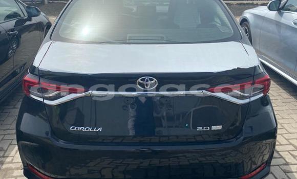 Buy Used Toyota Corolla Other Car in Luena in Moxico Buy Used Toyota Corolla Other Car in Luena in Moxico