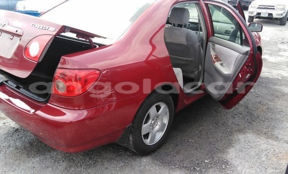 Buy Used Toyota Corolla Red Car in Luena in Moxico Buy Used Toyota Corolla Red Car in Luena in Moxico