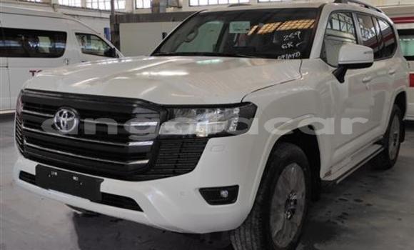 Comprar Usado Toyota Land Cruiser Branco Carro em Luanda em Luanda Province