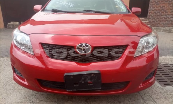 Buy Used Toyota Corolla Red Car in Luanda in Luanda Province Buy Used Toyota Corolla Red Car in Luanda in Luanda Province