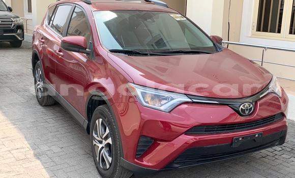 Buy Used Toyota RAV4 Red Car in Luanda in Luanda Province