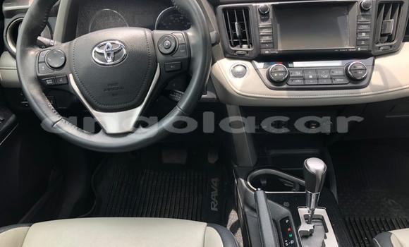 Buy Used Toyota RAV4 Other Car in Luanda in Luanda Province Buy Used Toyota RAV4 Other Car in Luanda in Luanda Province
