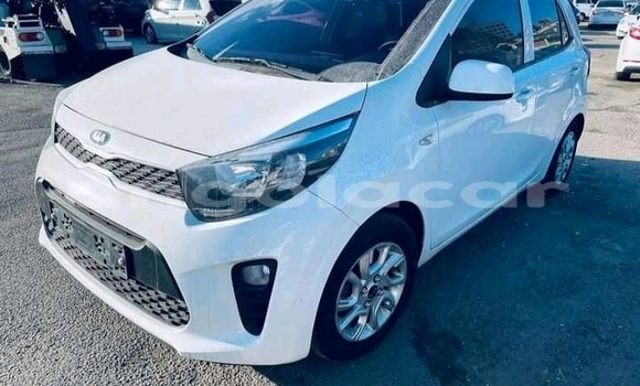 Comprar Usado Kia Picanto Branco Carro em Luanda em Luanda Province Comprar Usado Kia Picanto Branco Carro em Luanda em Luanda Province