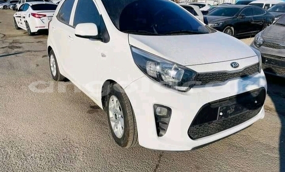 Comprar Usado Kia Picanto Branco Carro em Luanda em Luanda Province Comprar Usado Kia Picanto Branco Carro em Luanda em Luanda Province
