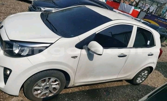 Buy Used Kia Picanto White Car in Luanda in Luanda Province Buy Used Kia Picanto White Car in Luanda in Luanda Province