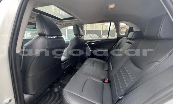 Buy Used Toyota RAV4 White Car in Luanda in Luanda Province Buy Used Toyota RAV4 White Car in Luanda in Luanda Province