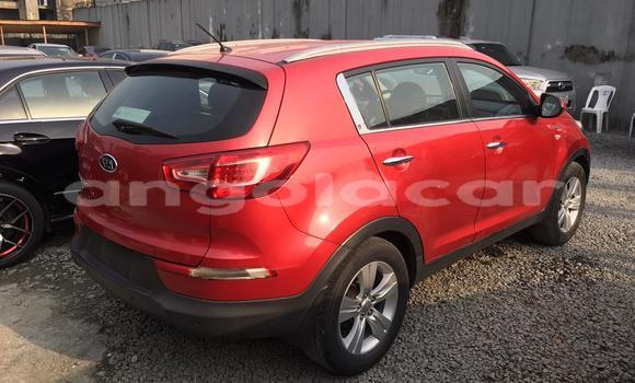 Buy Used Kia Sportage Red Car in Luanda in Luanda Province Buy Used Kia Sportage Red Car in Luanda in Luanda Province