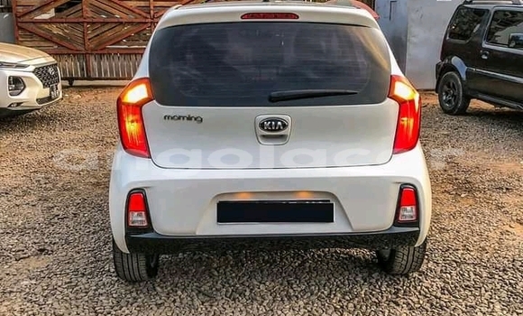 Comprar Usado Kia Picanto Outro Carro em Luanda em Luanda Province Comprar Usado Kia Picanto Outro Carro em Luanda em Luanda Province