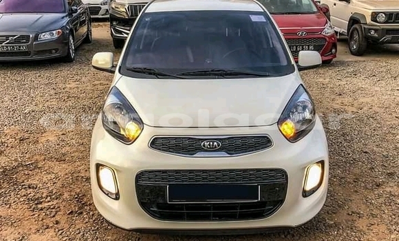 Comprar Usado Kia Picanto Outro Carro em Luanda em Luanda Province Comprar Usado Kia Picanto Outro Carro em Luanda em Luanda Province