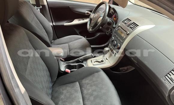Acheter Occasion Voiture Toyota Corolla Gris à Luanda, Province de Luanda Acheter Occasion Voiture Toyota Corolla Gris à Luanda, Province de Luanda
