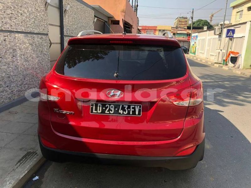 Big with watermark 62012676 2263004507153136 4100582105589743616 o