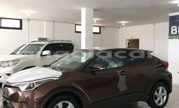 Buy Used Toyota C-HR Other Car in Luena in Moxico