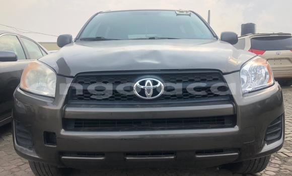 Buy Used Toyota RAV4 Other Car in Luena in Moxico Buy Used Toyota RAV4 Other Car in Luena in Moxico