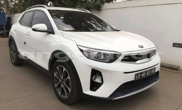 Buy Used Kia Stonic White Car in Luanda in Luanda Province Buy Used Kia Stonic White Car in Luanda in Luanda Province