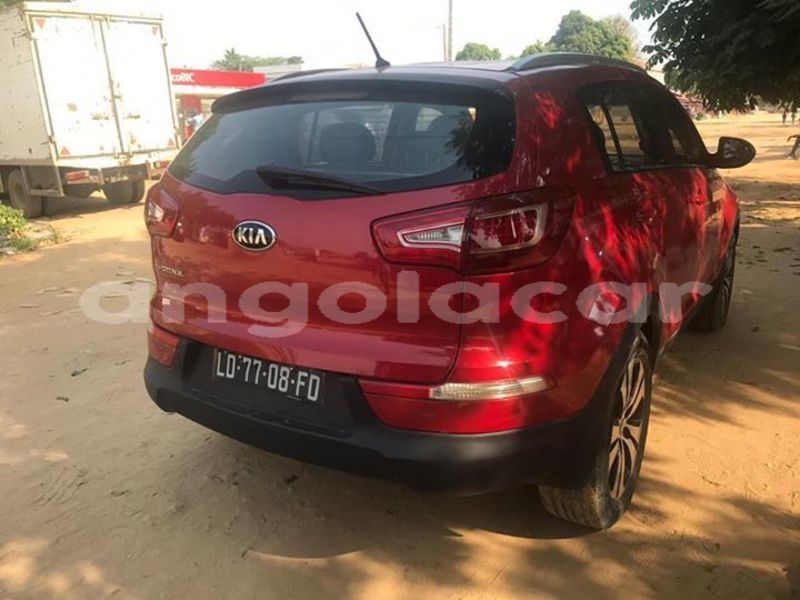 Big with watermark 61824467 2255988904521363 4806031523339829248 n