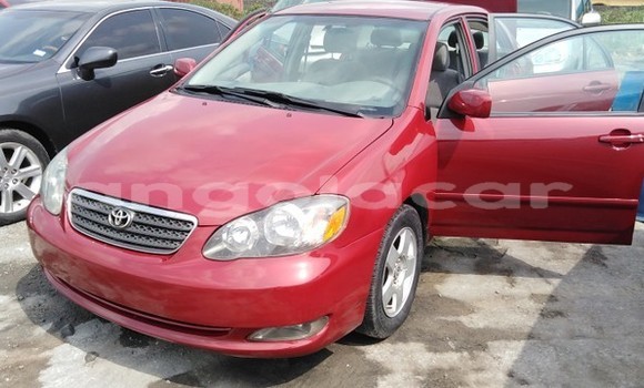 Buy Used Toyota Corolla Red Car in Luanda in Luanda Province