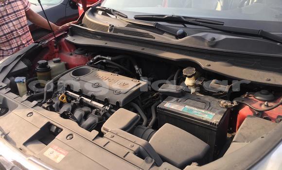 Buy Used Kia Sportage Red Car in Luanda in Luanda Province Buy Used Kia Sportage Red Car in Luanda in Luanda Province