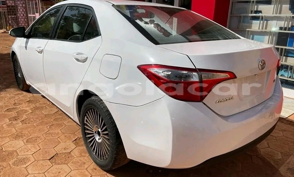 Acheter Occasion Voiture Toyota Corolla Blanc à Lubango, Huila Acheter Occasion Voiture Toyota Corolla Blanc à Lubango, Huila