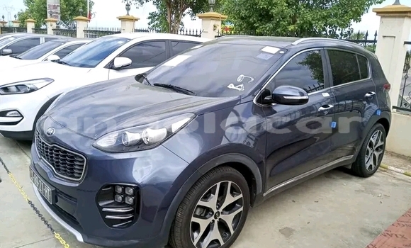 Buy Used Kia Sportage Other Car in Luanda in Luanda Province Buy Used Kia Sportage Other Car in Luanda in Luanda Province
