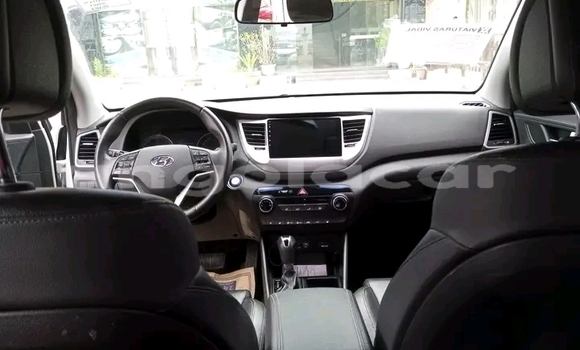 Buy Used Hyundai Tucson White Car in Luanda in Luanda Province Buy Used Hyundai Tucson White Car in Luanda in Luanda Province