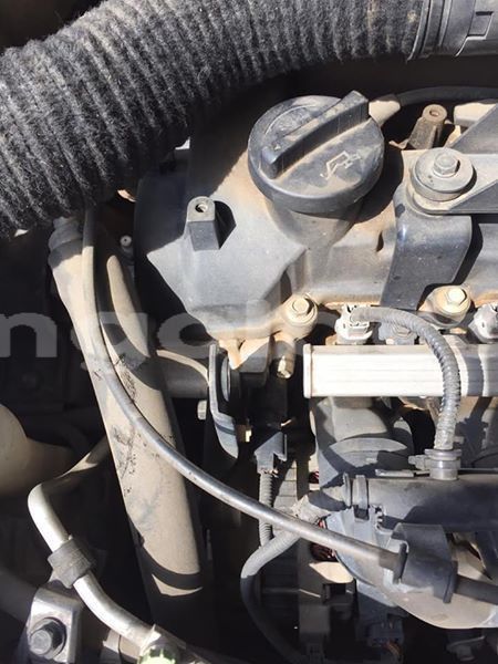 Big with watermark 61269423 1403685886439193 5670630331472936960 n