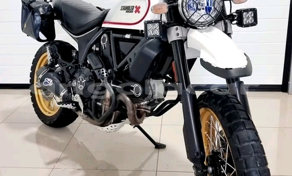 Buy New Ducati SCRAMBLER White Bike in Luanda in Luanda Province Buy New Ducati SCRAMBLER White Bike in Luanda in Luanda Province