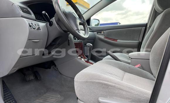 Comprar Usado Toyota Corolla Prata Carro em Luanda em Luanda Province Comprar Usado Toyota Corolla Prata Carro em Luanda em Luanda Province