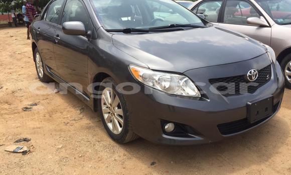 Acheter Occasion Voiture Toyota Corolla Gris à Luanda, Province de Luanda