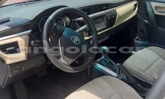 Comprar Usado Toyota Corolla Outro Carro em Luanda em Luanda Province Comprar Usado Toyota Corolla Outro Carro em Luanda em Luanda Province