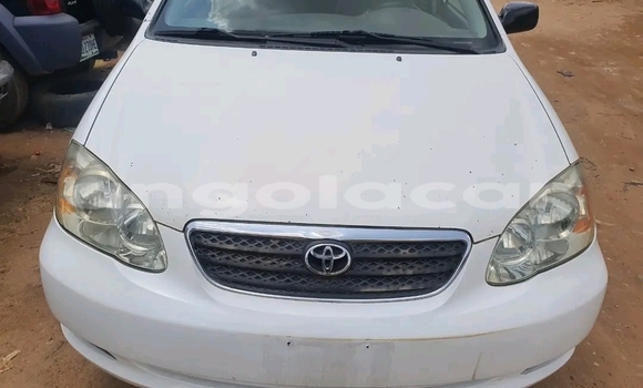 Buy Used Toyota Corolla White Car in Luena in Moxico