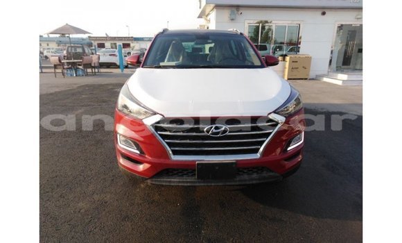 Comprar Importar Hyundai Tucson Vermelho Carro em Import - Dubai em Bengo Province Comprar Importar Hyundai Tucson Vermelho Carro em Import - Dubai em Bengo Province