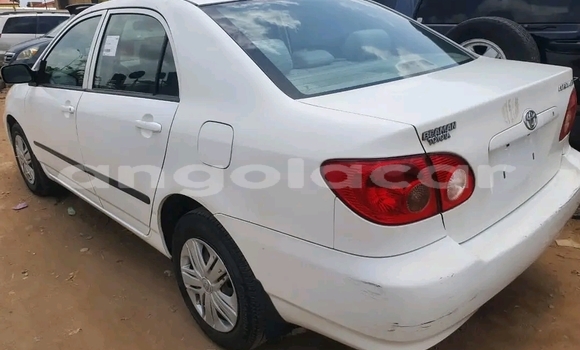 Buy Used Toyota Corolla White Car in Luena in Moxico Buy Used Toyota Corolla White Car in Luena in Moxico