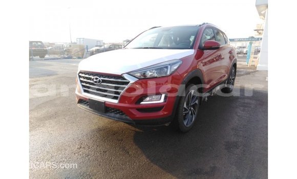Comprar Importar Hyundai Tucson Vermelho Carro em Import - Dubai em Bengo Province Comprar Importar Hyundai Tucson Vermelho Carro em Import - Dubai em Bengo Province