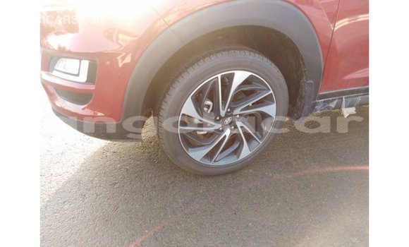 Comprar Importar Hyundai Tucson Vermelho Carro em Import - Dubai em Bengo Province Comprar Importar Hyundai Tucson Vermelho Carro em Import - Dubai em Bengo Province