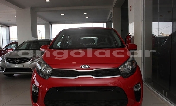 Comprar Novo Kia Picanto Vermelho Carro em Lobito em Benguela Comprar Novo Kia Picanto Vermelho Carro em Lobito em Benguela