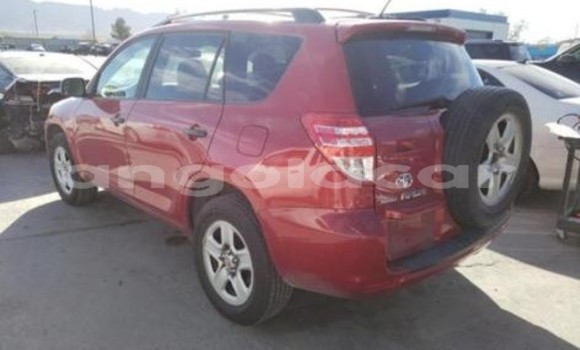 Buy Used Toyota RAV4 Red Car in Luanda in Luanda Province Buy Used Toyota RAV4 Red Car in Luanda in Luanda Province