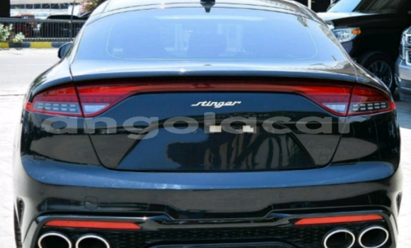 Buy Used Kia Stinger Black Car in Luena in Moxico Buy Used Kia Stinger Black Car in Luena in Moxico