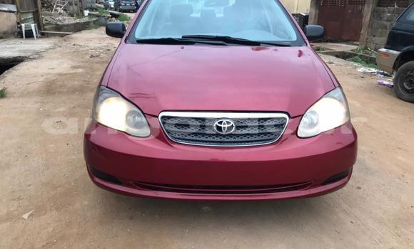 Buy Used Toyota Corolla Red Car in Luanda in Luanda Province