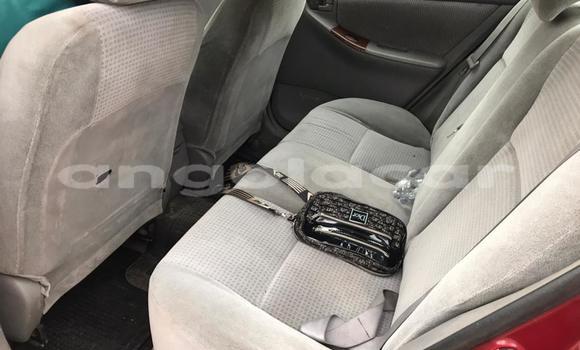 Acheter Occasion Voiture Toyota Corolla Rouge à Luanda, Province de Luanda Acheter Occasion Voiture Toyota Corolla Rouge à Luanda, Province de Luanda