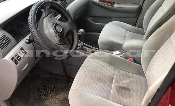 Acheter Occasion Voiture Toyota Corolla Rouge à Luanda, Province de Luanda Acheter Occasion Voiture Toyota Corolla Rouge à Luanda, Province de Luanda