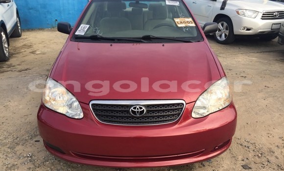Buy Used Toyota Corolla Red Car in Luanda in Luanda Province Buy Used Toyota Corolla Red Car in Luanda in Luanda Province