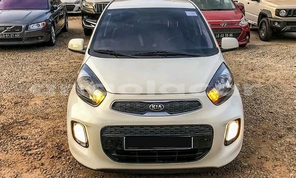 Buy Used Kia Picanto Other Car in Luanda in Luanda Province Buy Used Kia Picanto Other Car in Luanda in Luanda Province